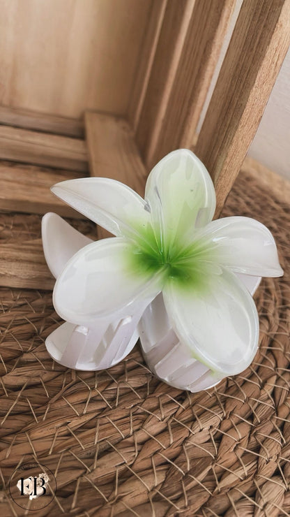 Pince à cheveux TAHITI [ Vert ] - Eylim Boutique