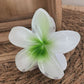 Pince à cheveux TAHITI [ Vert ]