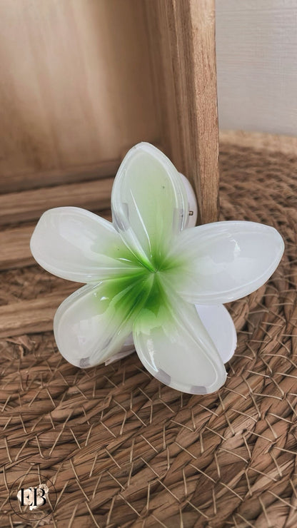 Pince à cheveux TAHITI [ Vert ] - Eylim Boutique