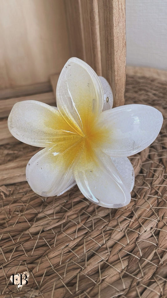 Pince à cheveux TAHITI [ Jaune ] - Eylim Boutique
